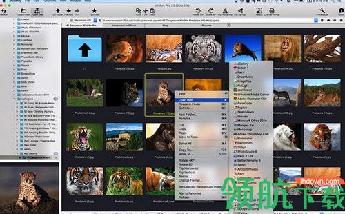 zGallery Pro Mac破解版