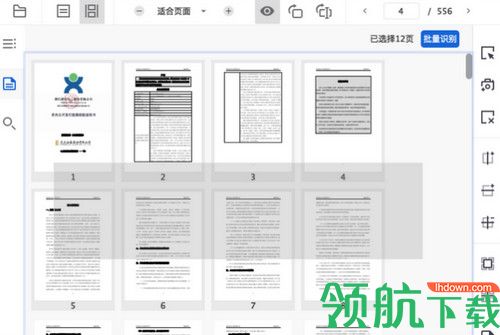 PDFlux中文版