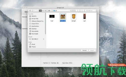 Gmagon Gif for Mac破解版