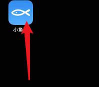 小鱼网App官方版