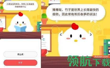 世界上长得最快的植物是什么?2020蚂蚁庄园每日一答答案