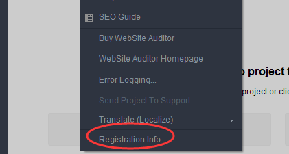 WebSiteAuditorEnterprise(SEO管理)绿色版