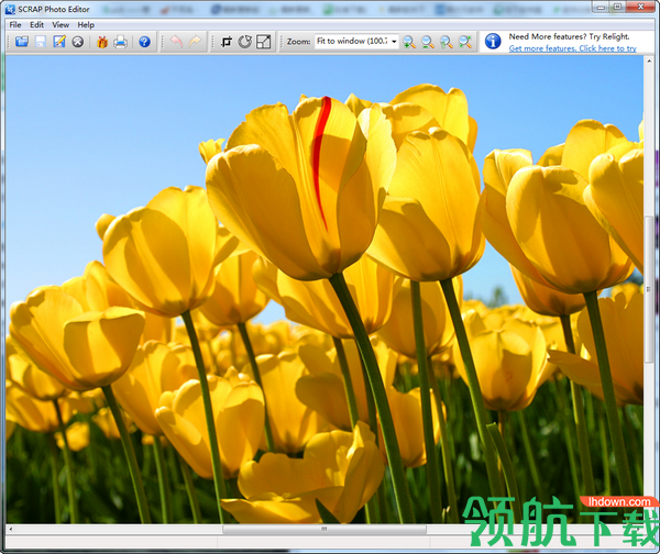 SCRAPPhotoEditor图片编辑器绿色版