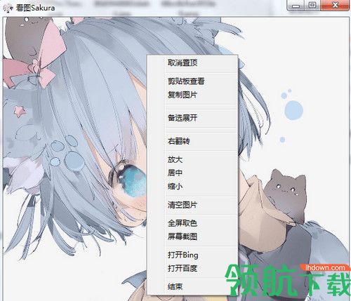 看图Sakura绿色版
