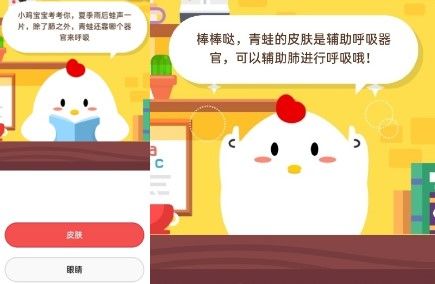 天空中漂浮的云它移动速度和啥差不多 2020蚂蚁庄园7.3日答案