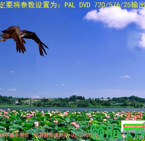巨星mtv2002完美汉化破解版