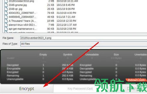 FinalCrypt中文版