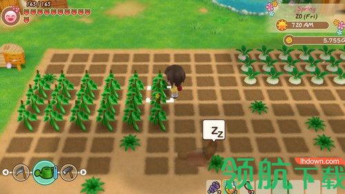 牧场物语重聚矿石镇中文破解版