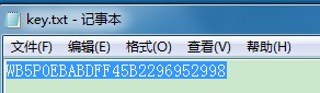 BlumentalsWeBuilder2020中文破解版