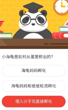 小海龟是如何从蛋里孵出的 2020森林驿站8.11答案