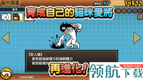 猫咪大作战游戏