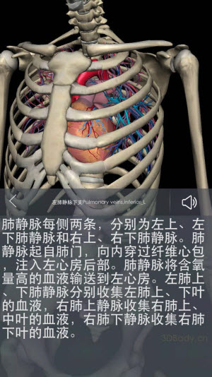 3Dbody解剖学专业版破解