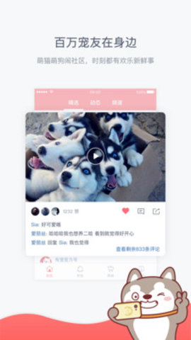 有宠APP最新手机版