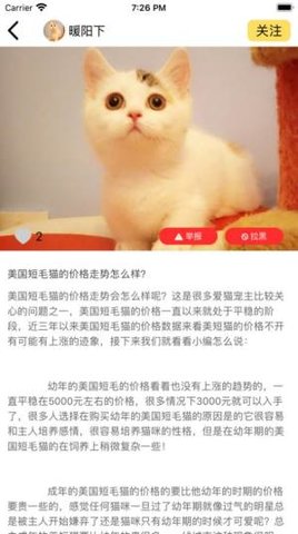 有爱有宠宠APP软件