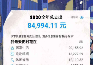 支付宝2020年度账单在哪看