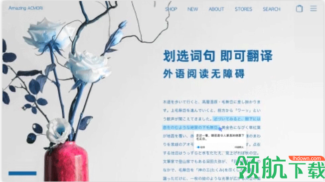 百度翻译桌面端