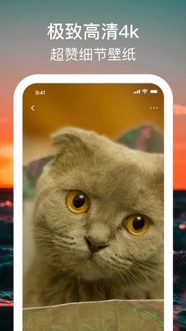 手机壁纸4K APP最新版