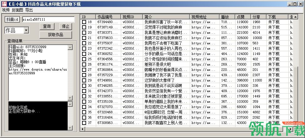 抖音无水印下载工具单文件版