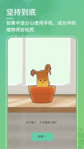 口袋植物测试版