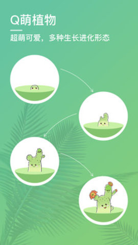 口袋植物测试版