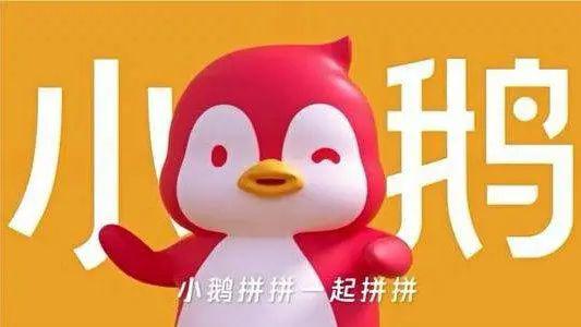 小鹅拼拼怎么入驻 小鹅拼拼商家入驻流程
