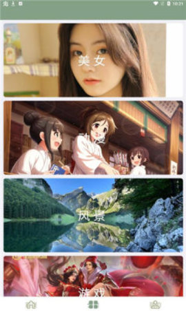 鹦鹉螺壁纸app手机免费版