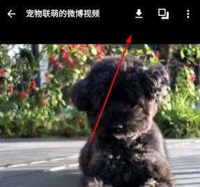 share微博客户端破解版