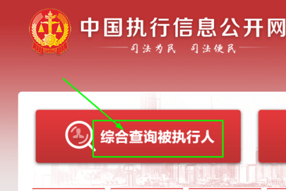 中国执行信息公开网(信息查询)App官方版