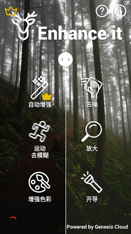 Enhance It照片修复工具