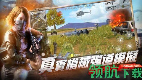 hopeless land游戏破解版