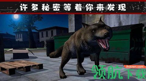 我的流浪生涯手游正式版