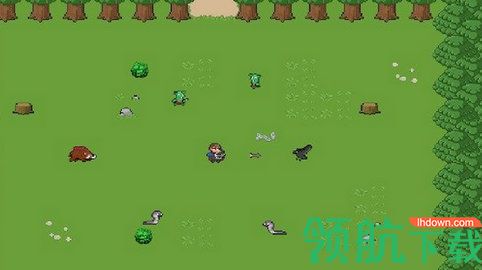 竞技场的生活中文版