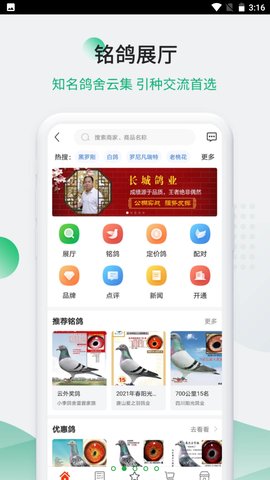 中国信鸽信息网拍卖平台官方App