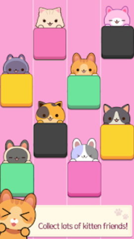 猫咪弹钢琴破解版