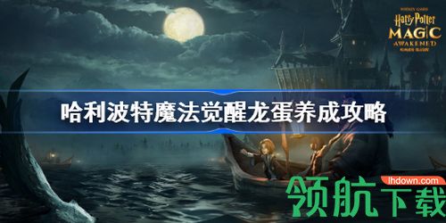 哈利波特魔法觉醒龙蛋怎么培养 龙蛋培养攻略