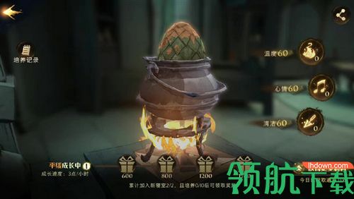 哈利波特魔法觉醒龙蛋怎么培养 龙蛋培养攻略