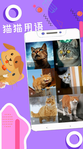 人狗猫猪翻译器APP免费版