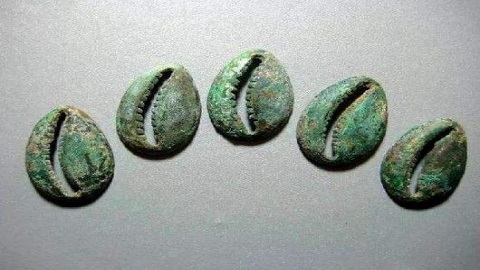钱币天堂官方版