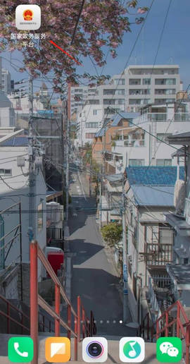 国家政务服务平台app防疫健康码