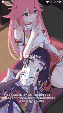 精灵水印Pro2022新版