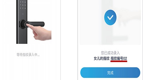 凯迪仕官方版