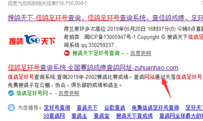 中鸽直播网赛鸽直播平台