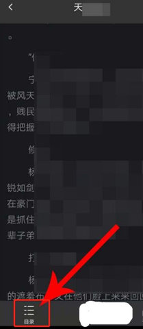 第一文学App2022最新版