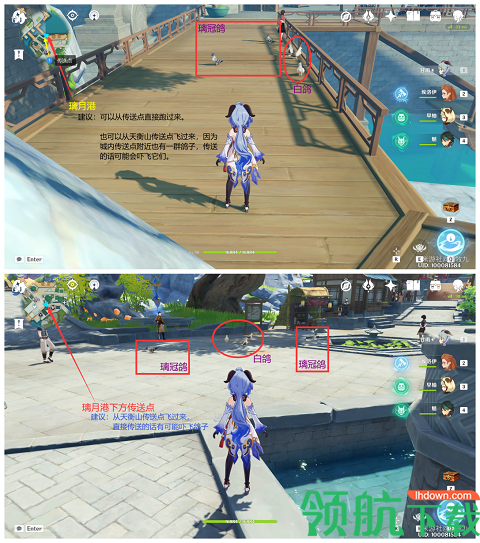 原神小动物怎么抓 原神小动物位置大全