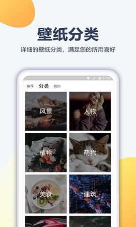 角落壁纸免费版