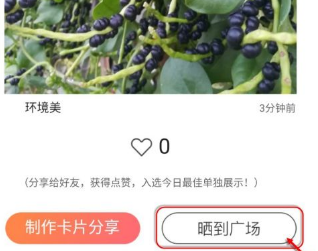 识花君(拍照识别植物)破解版