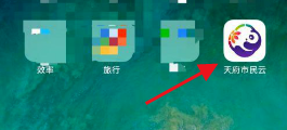 成都天府市民云服务平台