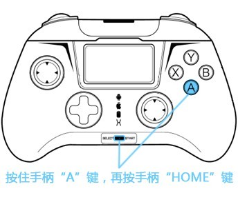 小鸡模拟器最新破解版