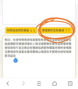 与熊论道App2022最新版