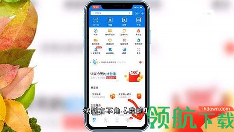 支付宝年度报告怎么查询 支付宝年度报告查询方法说明